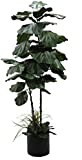 Premium 84' Giant Fiddle Leaf 2 Trunk Artificial Tree + Fiddle Leaf and Grass Foliage in Base + 12” Plant Pot Skirt