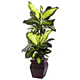 Nearly Natural Golden Dieffenbachia with Decorative Planter, Green