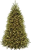 National Tree Company Pre-Lit Artificial Full Christmas Tree, Green, Dunhill Fir, Dual Color LED Lights, Includes PowerConnect and Stand, 7.5 Feet