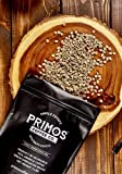 3 Lb, Single Origin Unroasted Green Coffee Beans, Specialty Grade From Single Nicaraguan Estate, Direct Trade (Caturra Varietal)
