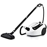 Dupray One Steam Cleaner- Portable, All-Purpose, Disinfecting, Chemical-Free Floor Steamer & Tile Cleaner Made in Europe for Home and Professional Use