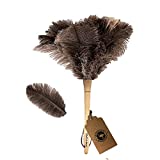 Ostrich Feather Duster,Feather Duster Fluffy Natural Genuine Ostrich Feathers with Wooden Handle and Eco-Friendly Reusable Handheld Ostrich Feather Duster Cleaning Supplies, Gray and Brown(Length 16')