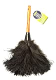 EVERCLEAN Ostrich Feather Duster Classic 14' 100% Natural Ostrich Feathers for Dusting Contoured, Intricate & Delicate Items - Classic Wood ErgoGrip Handle (6049.0)
