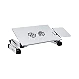 Amazon Basics Portable Adjustable Aluminum Laptop Stand with CPU Fans, Silver