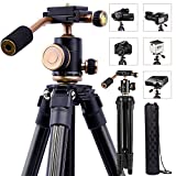 YoTilon Tripod for Camera, Portable Lightweight Travel Camera Tripod for DSLR, 360 Degree SLR Ball Tripods with 1/4 Plate for Canon Nikon Sony, Best Choice for Travel and Work.