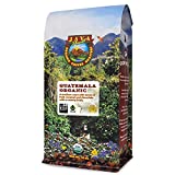 Java Planet, Organic Coffee Beans, Guatemalan Single Origin, Fair Trade, Gourmet Low Acid Medium Roast of Arabica Whole Bean Coffee, Certified Organic, Smithsonian Bird Friendly Certified, 1LB