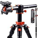 K&F Concept TM2515T1 Professional 67 inch Camera Tripod Horizontal Aluminum Tripods Portable Monopod with 360 Degree Ball Head Quick Release Plate for DSLR Cameras