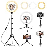 12.6 inch Ring Light with Floor Tripod and Desk Stand(Ringlight Kit Totally 74' Tall), LED Circle Light with Phone Holder, for Photo Selfie, Video Recording, Zoom Meeting