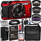 Olympus Tough TG-6 Digital Camera with Deluxe Accessory Bundle – Includes: SanDisk Ultra 64GB SDXC Memory Card + 2X Seller's Replacement Batteries with Charger + Adapter Tube + Much More