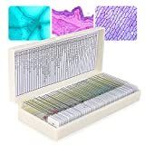 50 Pcs Microscope Slides Prepared for Student Kids Glass Microscope Slides with Lab Specimens Biological Sample with Insects Plants Animals Bacteria