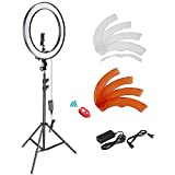 Neewer 18-inch SMD LED Ring Light Dimmable Lighting Kit with 78.7-inch Light Stand, Filter and Hot Shoe Adapter for Photo Studio LED Lighting Portrait YouTube TikTok Video Shooting (No Carrying Bag)