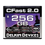 Delkin Devices 256GB Cinema CFast 2.0 Memory Card (DDCFST560256)