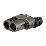 Sig Sauer ZULU6 Binocular, 10x30mm, Schmidt-Pechan, Image Stabilized, Graphite, SOZ61001