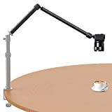 VIJIM LS06 Flexible Arm Detachable 2-Section Magic Arm with 1/4' Interface Mount on Any Camera Desk Mount Stand for Overhead Shooting