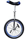 Fantasycart Unicycle 20' in & Out Door Chrome