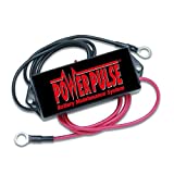 Pulsetech PowerPulse Battery Maintenance System, 12V