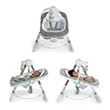 Ingenuity Anyway Sway 5-Speed Multi-Direction Portable Baby Swing with Vibrations - Ray, 0-9 Months