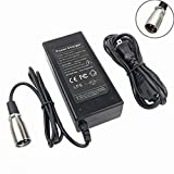24V 2A New XLR Electric Scooter Battery Charger for Go-Go Elite Traveller Plus HD US, Ezip Mountain Trailz, Jazzy Power Chair
