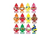 Little Trees Home and Car Air Freshener 12 Pack Most Popular Fruit Scents