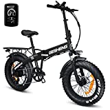 LANDX Electric Bike for Adults 750W Q5 Ebike Bicycle 20 x 4.0'' Fat Tire Folding Electric Bike 48V 12Ah Removable Battery Shimano 7 Speed Gears Up to 31Mph