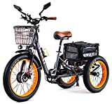 3SCORE Electric Fat Trike 750W Motor and 48V Lithium Rechargeable Battery - Etrike 24 Inch Fat Tire - Foldable Electric Cruiser Tricycle (Matt Gray, Fat Tire Etrike)