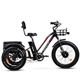Addmotor Motan Electric Tricycle, 24' Fat Tire Electric Trike Adults, 750W Motor 48V 17.5Ah Panasonic Lithium Battery, Front Rear Cargo Basket, M-350 A 3 Wheel Bicycle with Suspension Fork(Black)