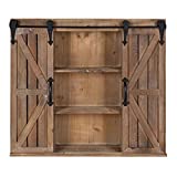 Kate and Laurel Cates Decorative Wood Wall Storage Cabinet with Two Sliding Barn Doors, Rustic Brown