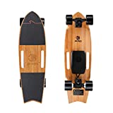 Jking Electric Skateboard Electric Longboard with Remote Control Electric Skateboard,700W Hub-Motor ,16.7 MPH Top Speed,8.2 Miles Range,3 Speeds Adjustment
