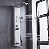 DELAVIN Stainless Steel Shower Panel Tower System, Wall-Mount Complete Shower Column with Rainfall Waterfall Shower Head, Massage Body Jets, Tub Spout, Handheld Shower, Brushed Nickel