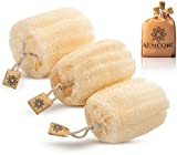 Natural Real Egyptian Shower Loofah Sponge Body Scrubber That Will Get You Clean and Not Just Spread Soap (3 lufa Pack).