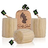 Daily shower Egyptian Natural Loofah Sponge, Shower Exfoliating Sponge for Body scrubbers, Large Loofah (Pack of 3) 100% Biodegradable Organic loofah, Spa Shower Scrub