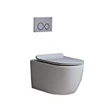 Homary Wall Hung Elongated Toilet Bowl 1.1/1.6 GPF Dual Flush Toilet Ceramic Wall Mount Toilet with In-Wall Tank and Carrier System in White, Water Saving (Bowl And Tank)