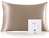 ZIMASILK 100% Mulberry Silk Pillowcase for Hair and Skin Health,Soft and Smooth,Both Sides Premium Grade 6A Silk,600 Thread Count,with Hidden Zipper,1pc (Queen 20''x30'',Taupe)
