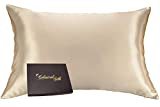 Celestial Silk 100% Silk Pillowcase for Hair Zippered Luxury 25 Momme Mulberry Silk Charmeuse Silk on Both Sides of Pillow Cover -Gift Wrapped- (Queen, Taupe)