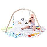 The Play Gym by Lovevery | Stage-Based Developmental Activity Gym & Play Mat for Baby to Toddler