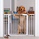 Cumbor 46'Auto Close Safety Baby Gate, Extra Tall and Wide Child Gate, Easy Walk Thru Durability Dog Gate for House, Stairs, Doorways. Includes 4 Wall Cups, (2)2.75-Inch and 8.25-Inch Extension, White