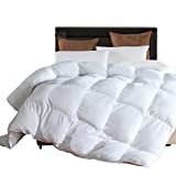 Microfiber Comforter (White,Queen)-Premium Brushed Microfiber Cover-Soft Plush Down Alternative Comforter Duvet Insert by L LOVSOUL (90x90Inches)