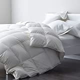 DWR Premium Feather Down Comforter Duvet Insert - 100% Skin-Friendly Cotton, Medium Weight Quilted for All Season Bedding (Full/Queen, Ivory White)