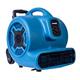XPOWER P-800H Air Mover, Carpet Dryer, Floor Fan, Blower with Telescopic Handle & Wheels for Water Damage Restoration, Commercial Cleaning & Plumbing Use-3/4 HP, 3200 CFM, 3 Speeds, Blue