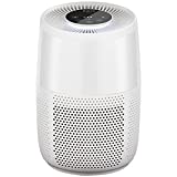 Instant HEPA Air Purifier for Home Allergies Pets Hair, Remove 99.9% Dust Smoke Mold Pollen, with plasma ion technology, Small Room (AP100), Pearl